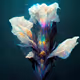 Anomaly Flowers