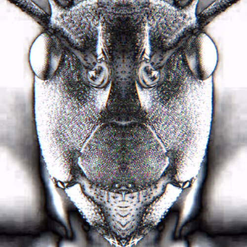 Ant-Dromeda - old
