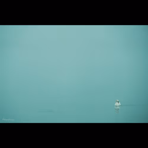 AnthonyAbrieux _ deus-ex-machina