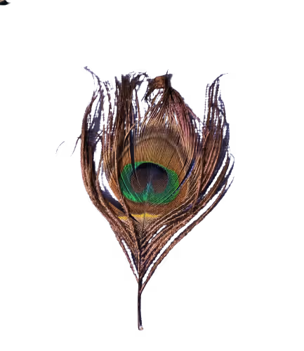 Antique luck bringing things