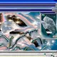 Antivirus #26