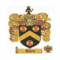 Anything Boes Studio