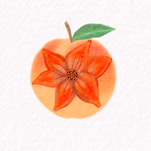 Anzu Flower Shop