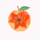 Anzu Flower Shop