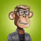 APE #09284