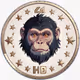 Ape Coin World