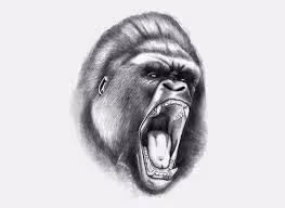 APES KING PLUS