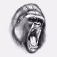 APES KING PLUS