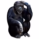 ApeThinks