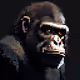 APEART Polygon