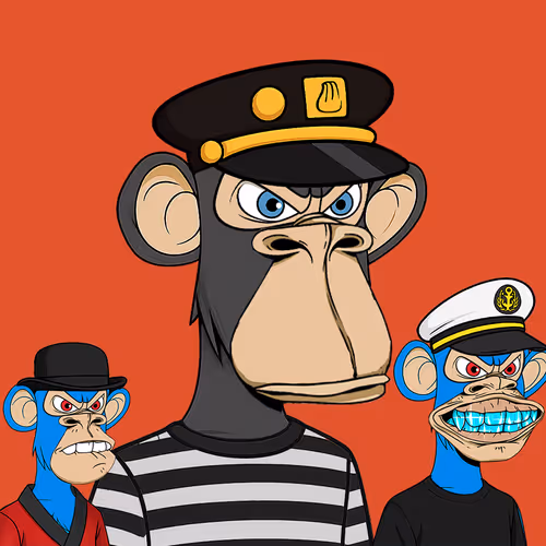 ApeS B Dimension Club