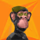 Apes: Monkey Original - old