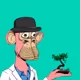 ApeScape