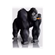 Apetoman