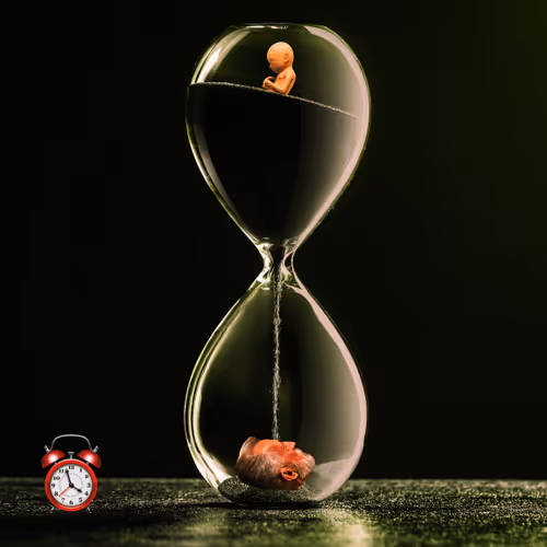 A PIECE OF V1NCENT - old