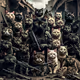 Apocalyptic Cat