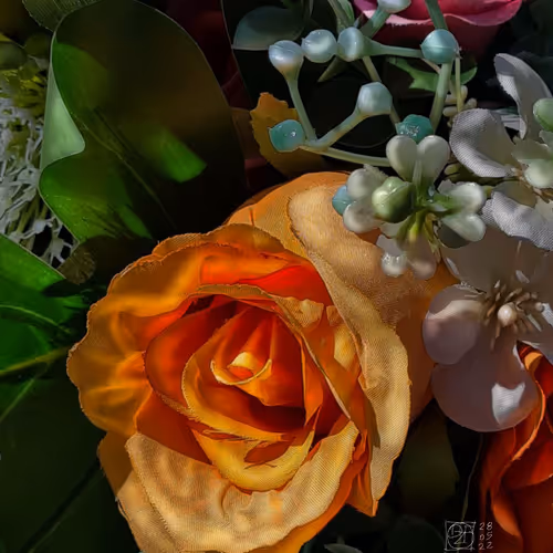 Appearance ~ Apparenza