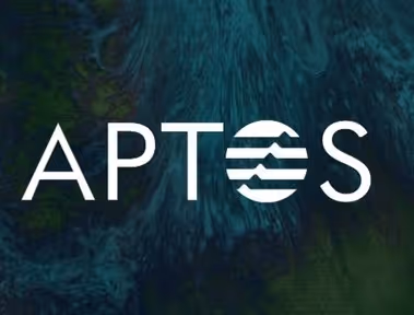 Aptos Labs Foundation