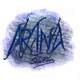 AR1NA-Net