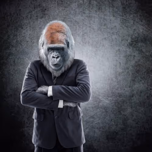 Arab Ape pet