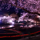 Japanese Art Photography |  Arao's Photo