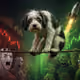 ARCDOG
