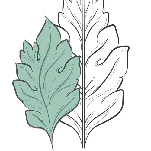 Architectural Interiors