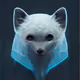 Arctic Artists Launch Collection