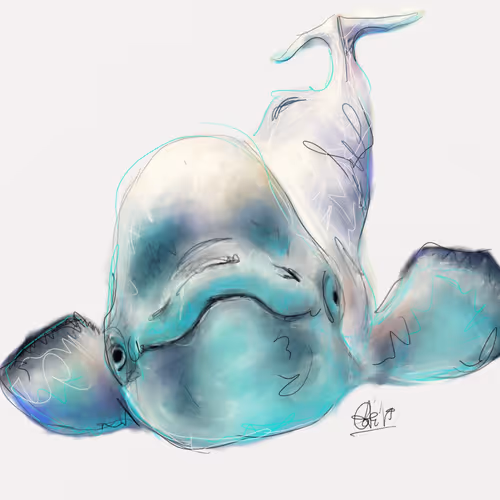 Arctic life and biodiversity