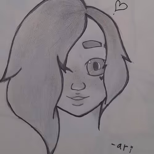 Ari Wolfe's Ari Anime collection