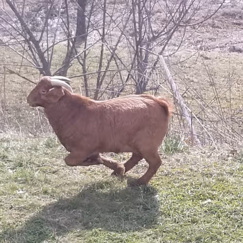 Around the farm V3