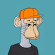 Arq monkeys