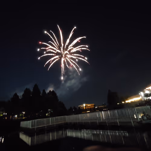 ARRELLR NFT Picture Collection