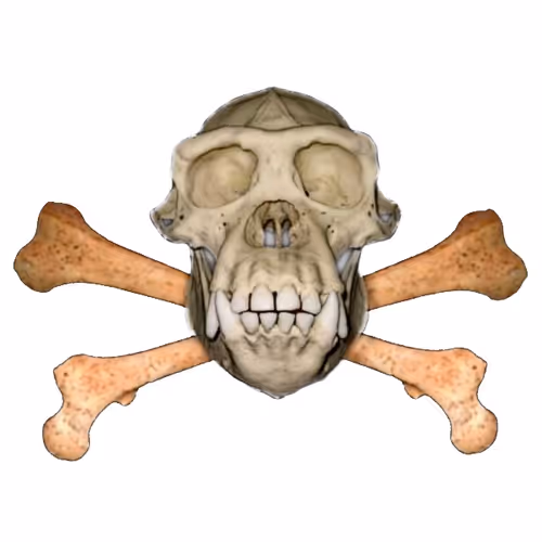 Ape Jolly Roger Avatar Collection