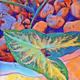 Syngonium