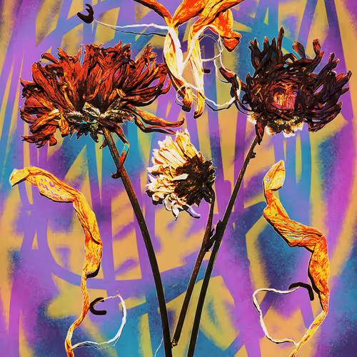 Art by Pancho Socci - old