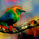 Art - DigiBeter