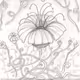 art drawing z - old