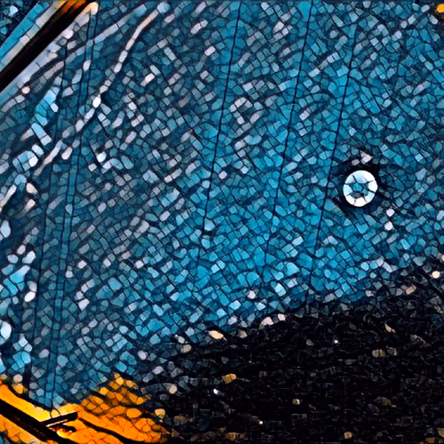 Art Of Butterflies - old