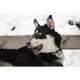 Art of GIF's