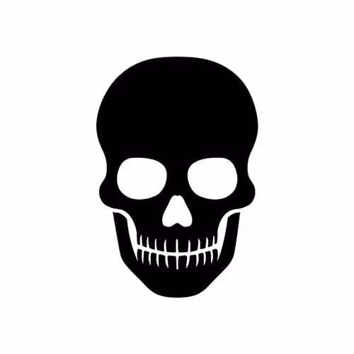 Art Of The Skull
