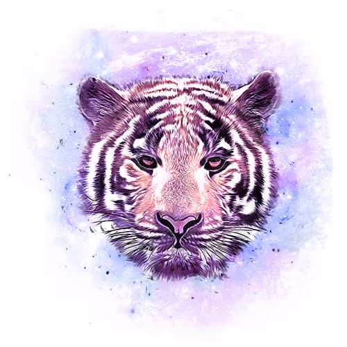 The mind of a poor fool