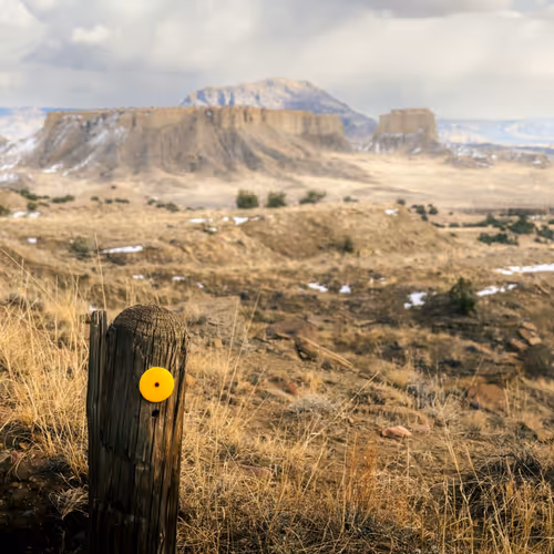 ArtDrop rosstintexas