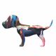 COMING SOON       The Colourful Canines - old