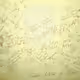 Alpha Omega Equation