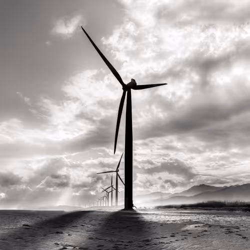 Artifact Series: Windfall by Marvin Grey - old