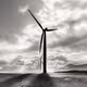 Artifact Series: Windfall by Marvin Grey - old