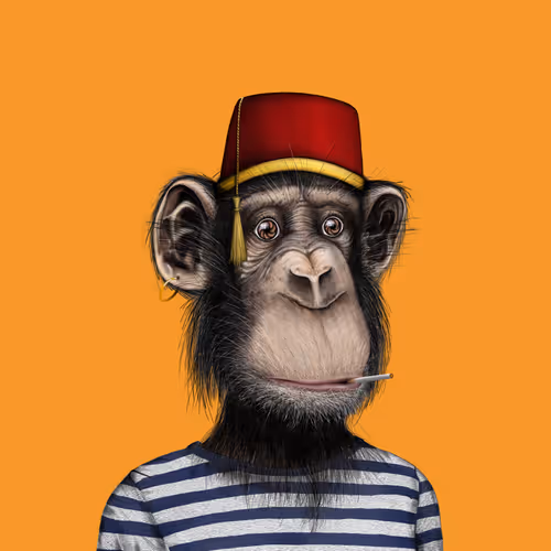 Artisan Apes