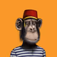 Artisan Apes