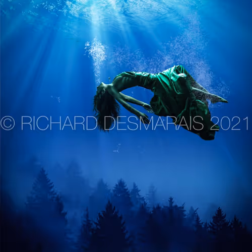 Artist - Richard - Desmarais